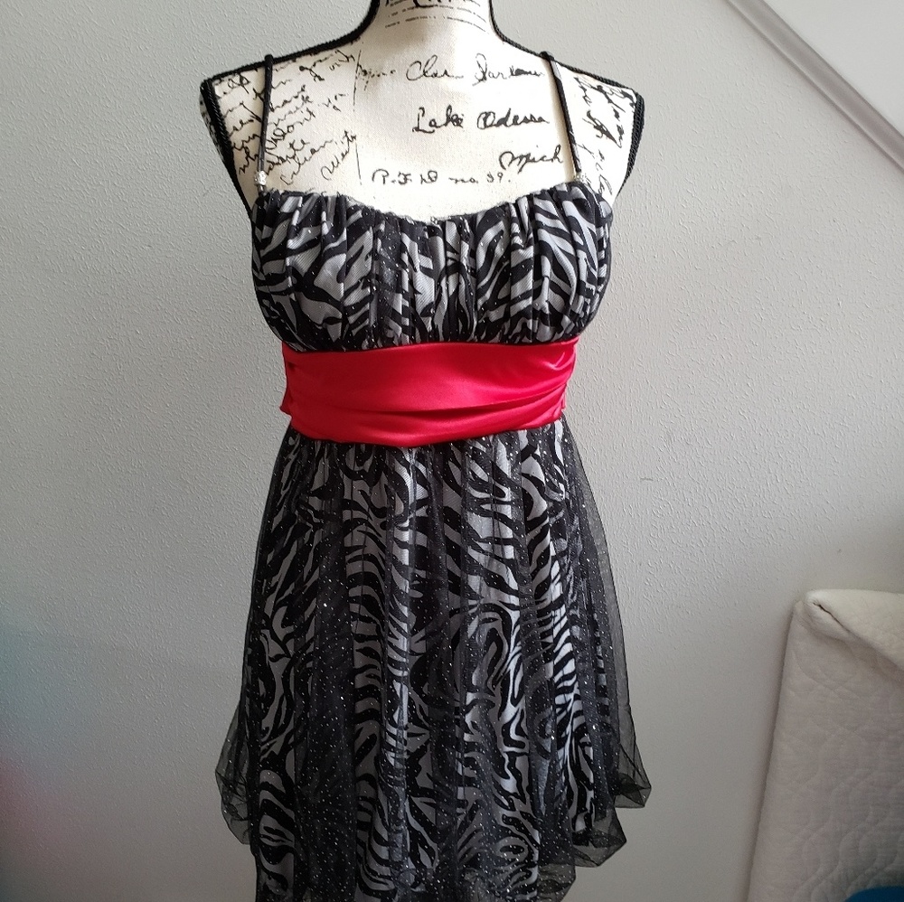 Black & White Sparkly Tulle Overlay Dress
